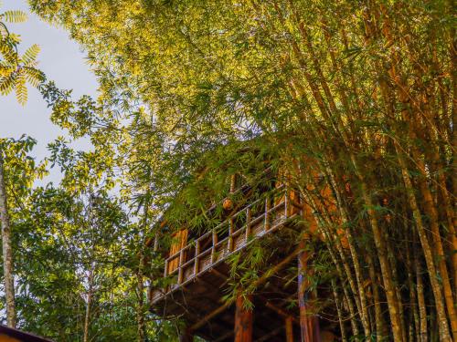 glamping rio claro