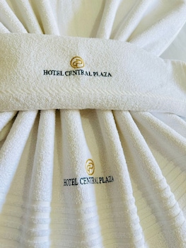 hotel central plaza timoteo