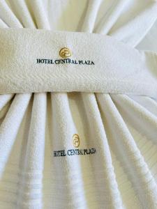 hotel central plaza timoteo