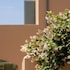 planeta country house and beach club