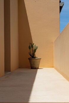 planeta country house and beach club