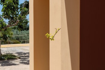 planeta country house and beach club
