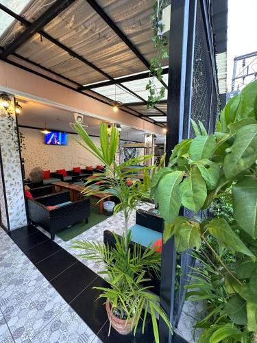 blueskyhouse patong