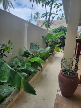 two palms