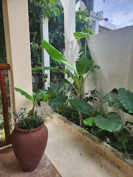 two palms