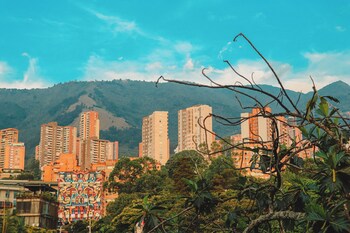 medellin