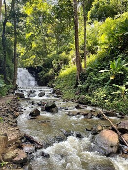 la villa hortensia mondulkiri