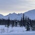 cantwell cabins