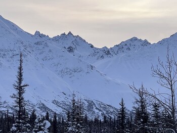 cantwell cabins