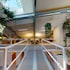 ola living hostal tetuan