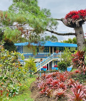 hotel lago valdivia
