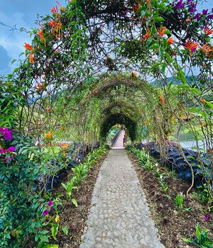 hotel lago valdivia