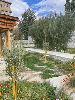 leh