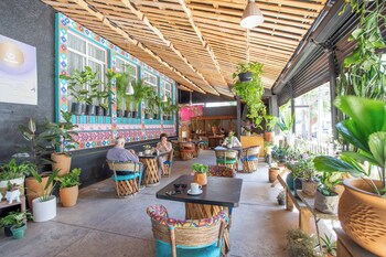 la paz and love hostel