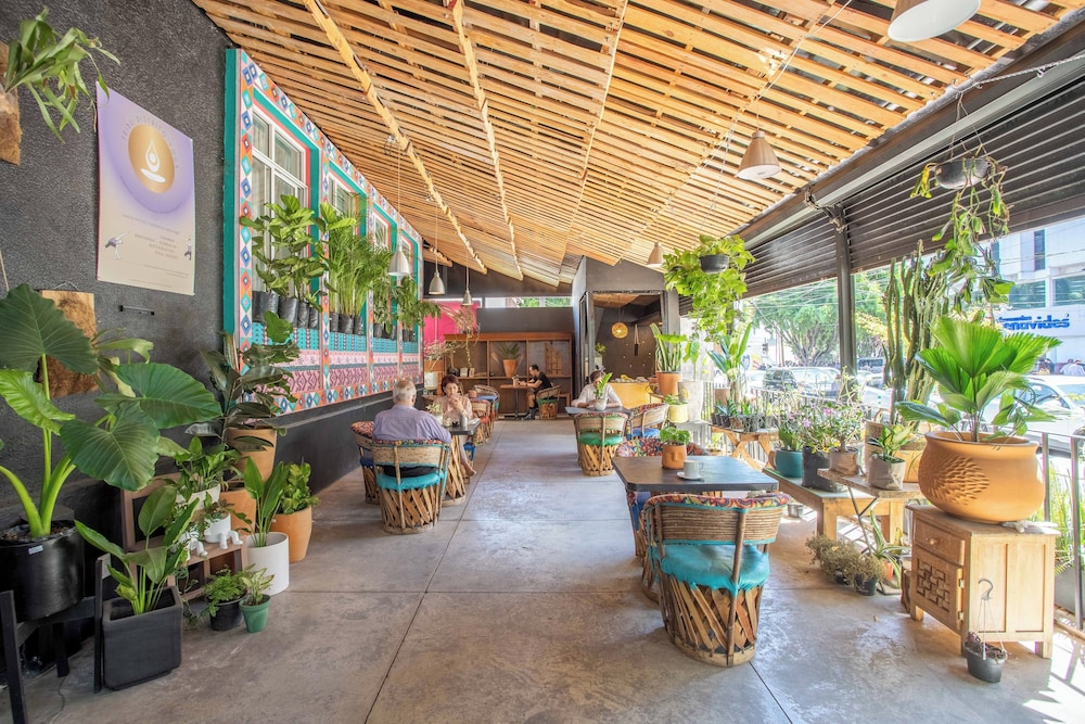 la paz and love hostel