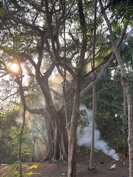 ko chang