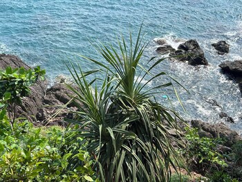 ko chang