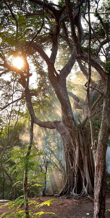 padel lodge koh chang