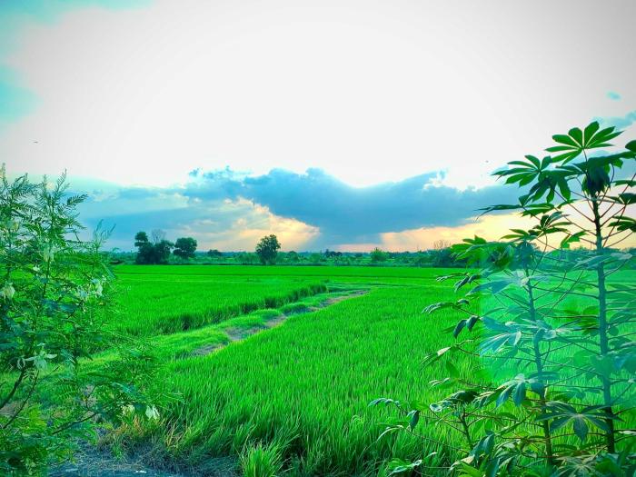 chai na resort