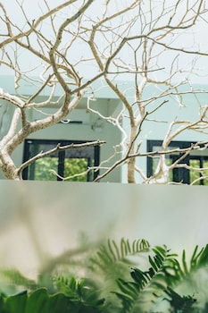 glyn chiangmai