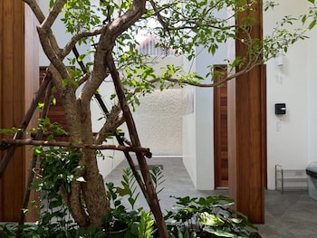 glyn chiangmai