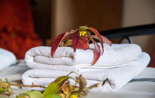 dione by open city hotel