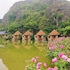 hoa lu
