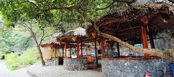 hoa lu