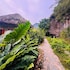 hoa lu