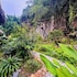 hoa lu