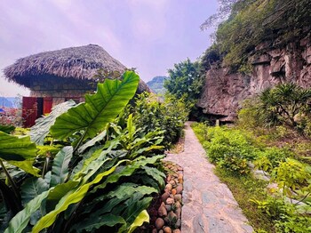 hoa lu