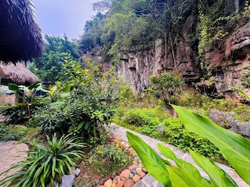 hoa lu