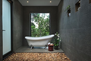 reen resorts aanavilasam thekkady