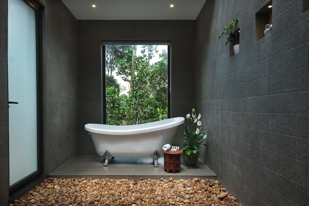 reen resorts aanavilasam thekkady