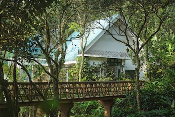 reen resorts aanavilasam thekkady