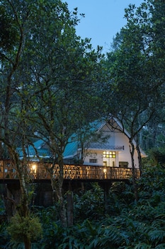 reen resorts aanavilasam thekkady