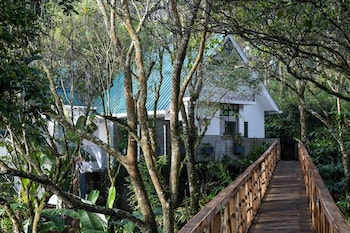 reen resorts aanavilasam thekkady