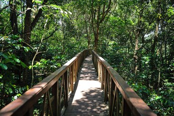 reen resorts aanavilasam thekkady