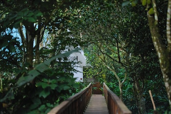 reen resorts aanavilasam thekkady