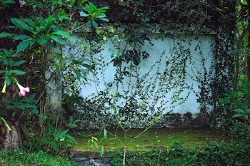 reen resorts aanavilasam thekkady
