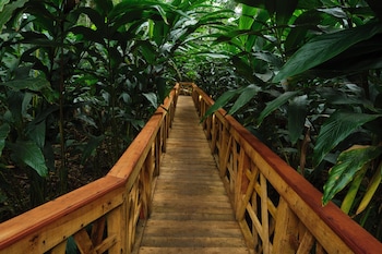 reen resorts aanavilasam thekkady