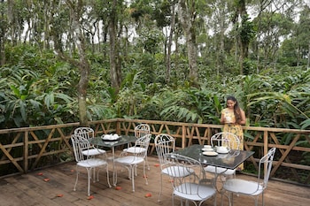 reen resorts aanavilasam thekkady