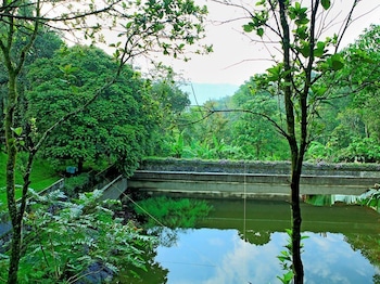 reen resorts aanavilasam thekkady