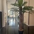 hayat alfursan for apartments hotel