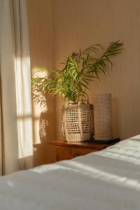 hotel y restaurant dona rode