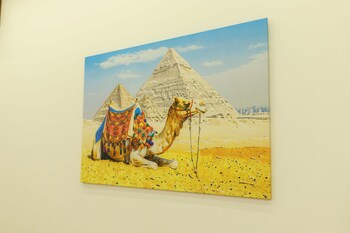 pyramids sunshine view