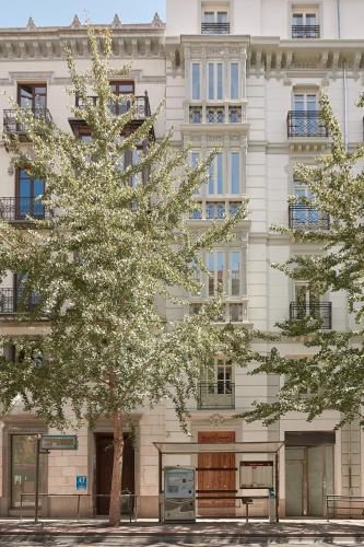 u sense granada gran via