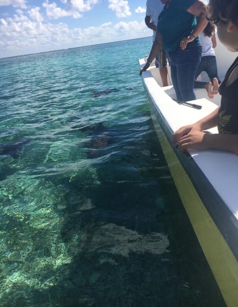 belize sea reef inn