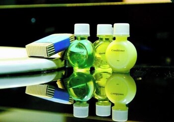 lavendish tamarind lifestyle