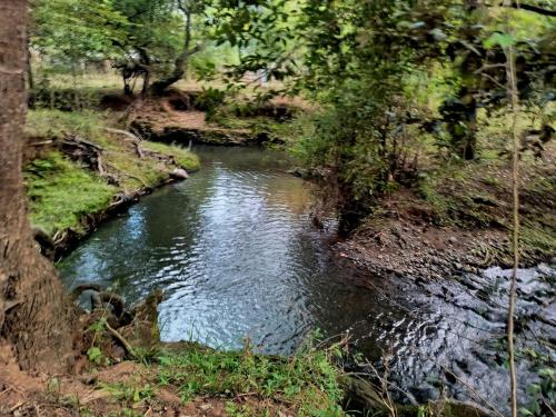 riverside villas nanyuki